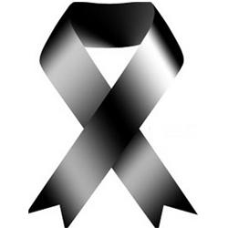 Imagen principal noticia 